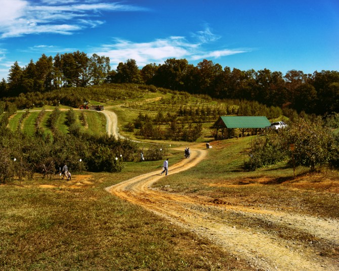 Mercier Orchards