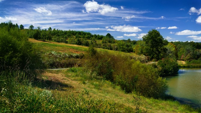 Mercier Orchards in October