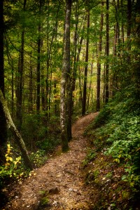 The golden light at the end of the tunnel?