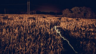 Electric Corn Maze