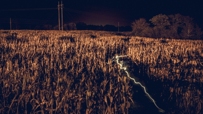 Electric Corn Maze