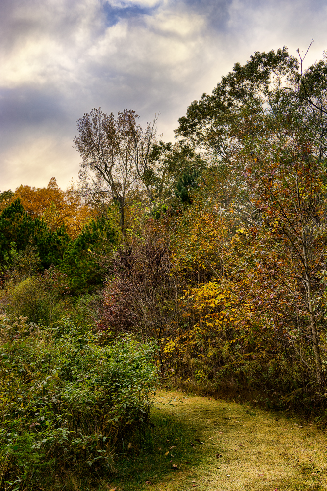 Songbird trail around sunset.