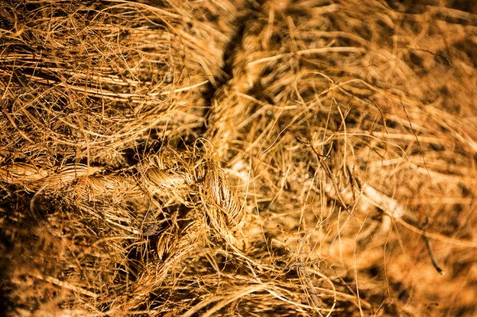 Burlap.