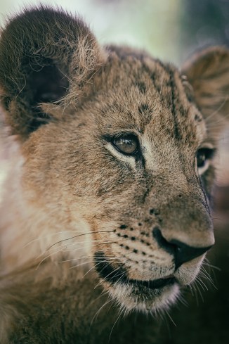 DSC07019-Edit-Edit-Edit-Edit