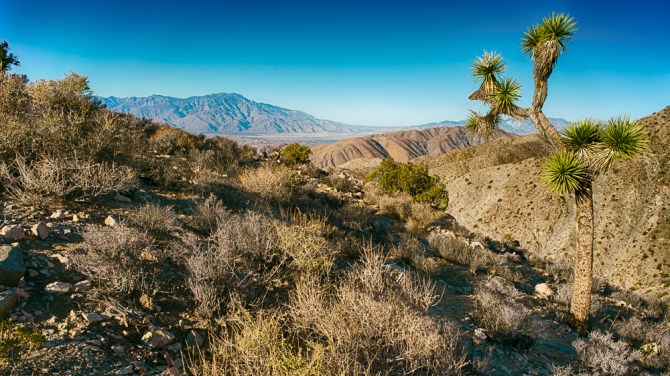 The landscapes at the Joshua Tree National Park are so diverse. I loved having the chance here to get a Joshua Tree with the mountains in the background. Coming soon: the Cholla Cactus Garden and Cottonwood Oasis.