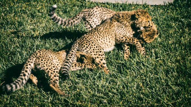 DSC08769-Edit-Edit-Edit