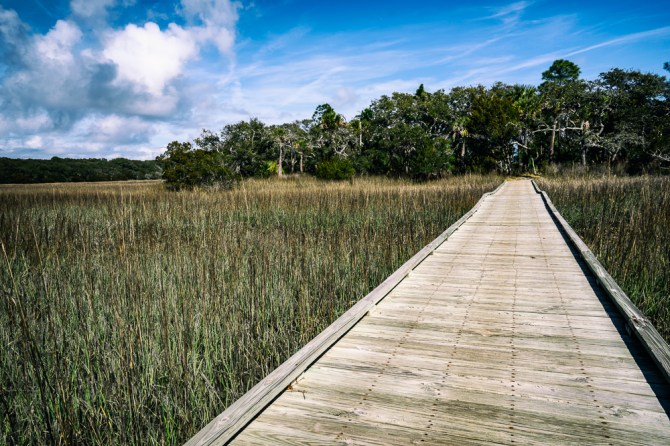 A boardwalk over the salt marsh in Edisto Beach State Park. This was on the Scott Creek Trail.
