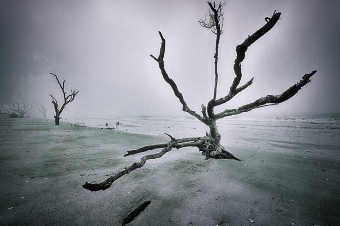 i had some fun with the wide angle distortion on this one! I liked the effect that the Sandy Cool texture had on it. It seemed to fit the beach theme.