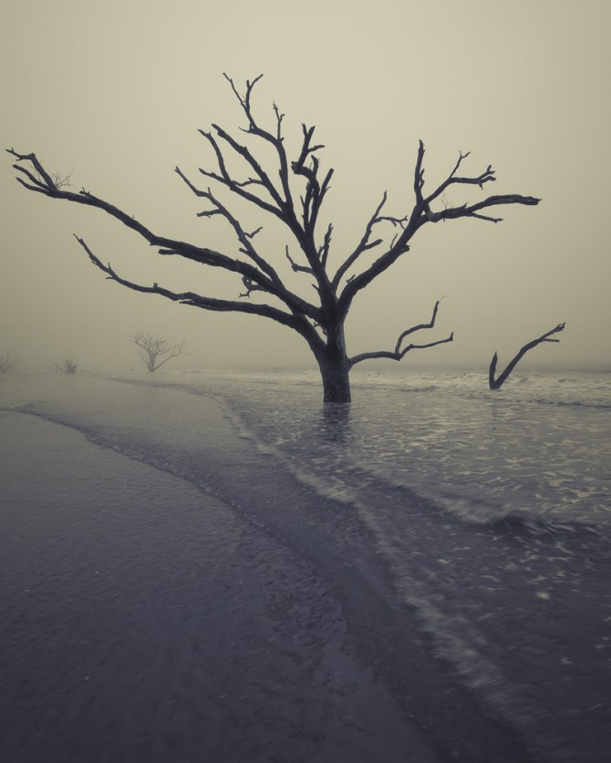 One of my favorite split-tone presets in Tonality Pro is "Blue Morning." Split-toning involves taking a black and white image and adding two different tints to the shadows and the highlights. In this case, the shadows get a blue tint, and the highlights get a golden tint. I decided not to use a texture on this one.