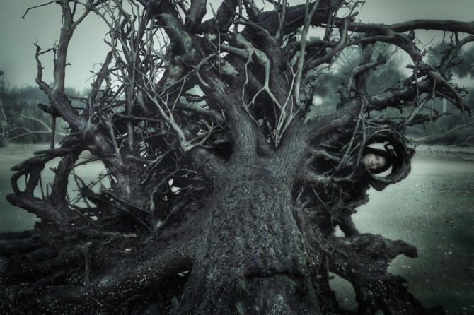 Michelle being spooky in one of the trees at Botany Bay Plantation, SC.