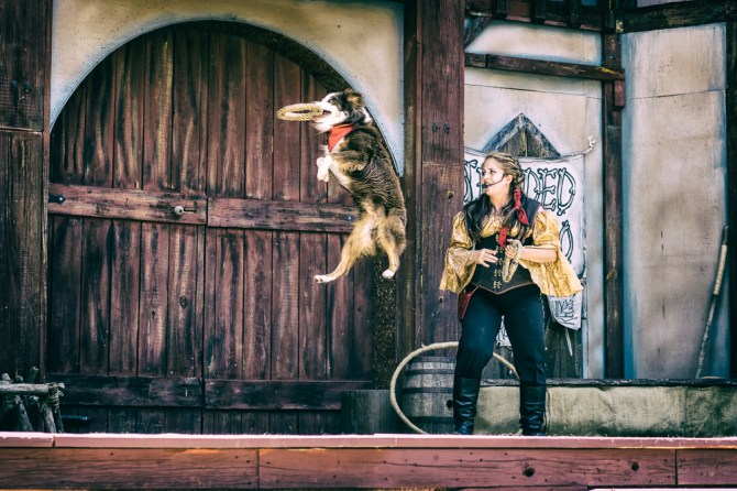 We quickly went to the dog trick show. This border collie had fun playing with medieval frisbees.