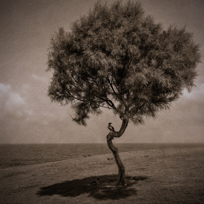 The next morning, we walked in nearby Jaffa to see the development of this coastal town.